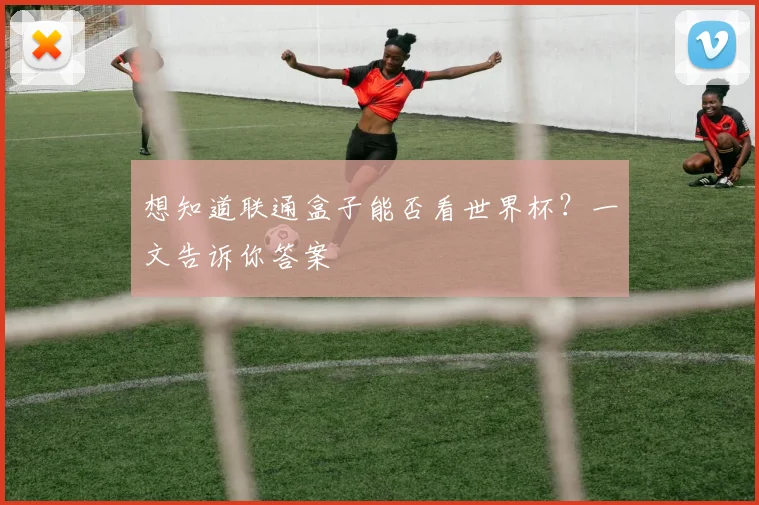 想知道联通盒子能否看世界杯？一文告诉你答案